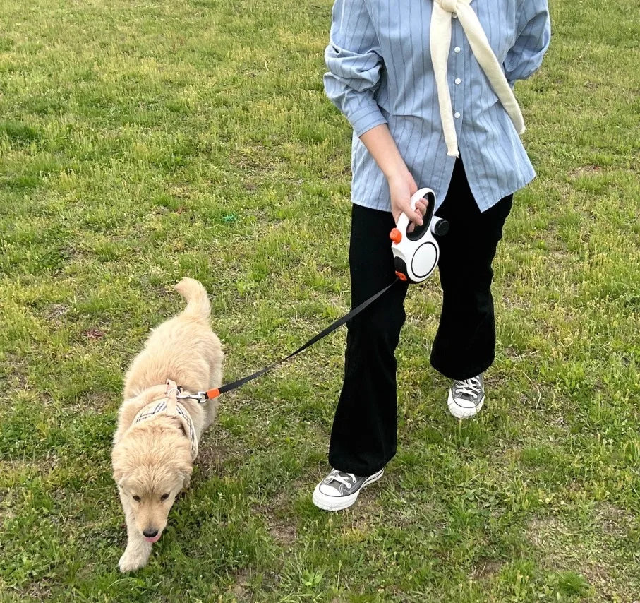 Classic Durable Nylon Dog Leash