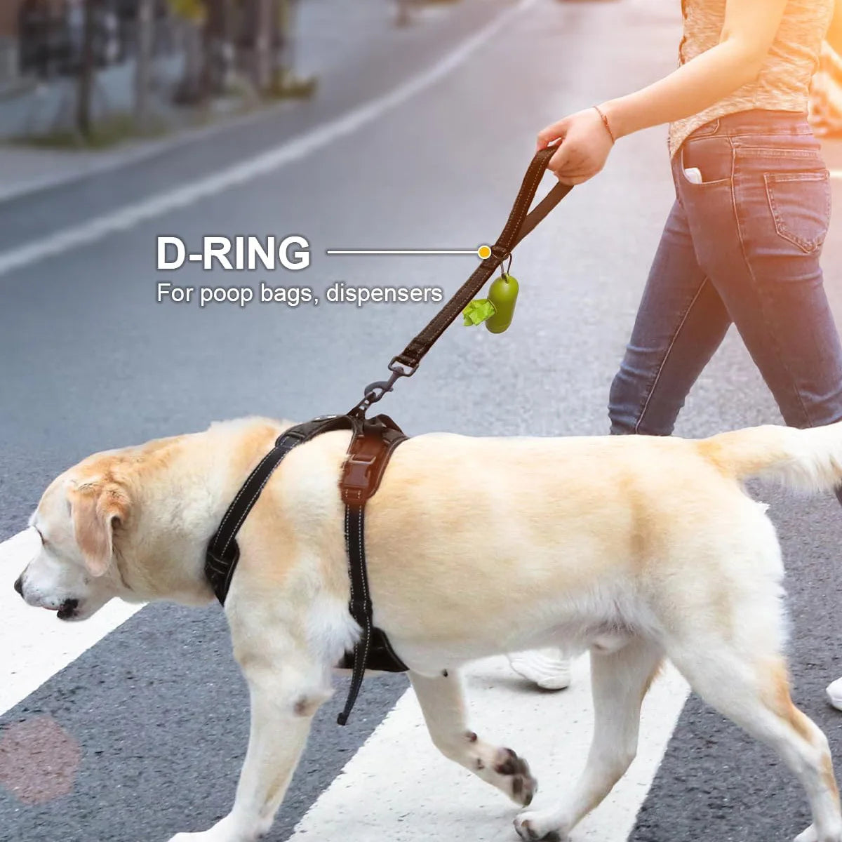 Short Heavy Duty Nylon Dog Leash