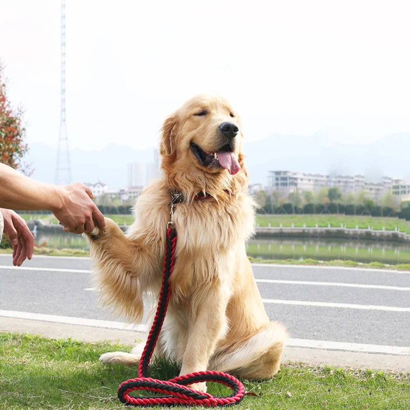 Braided Rope Pet Leash