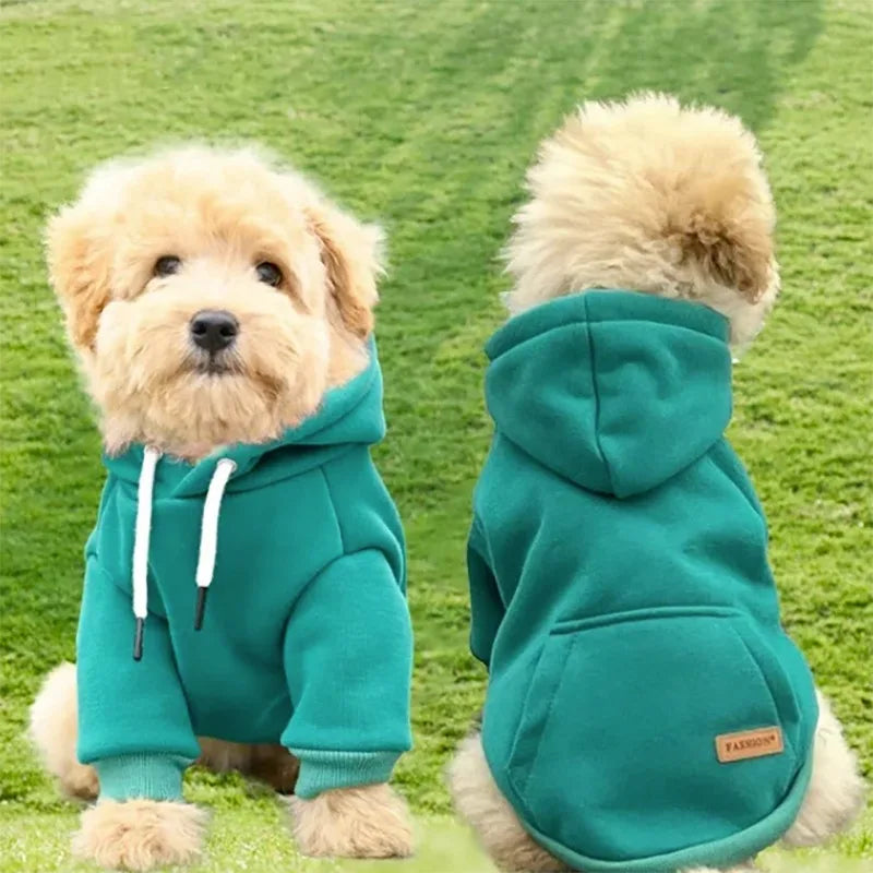 Outdoor Dog Sweatshirt