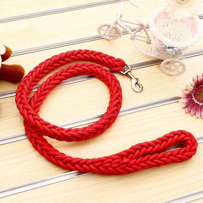 Braided Rope Pet Leash