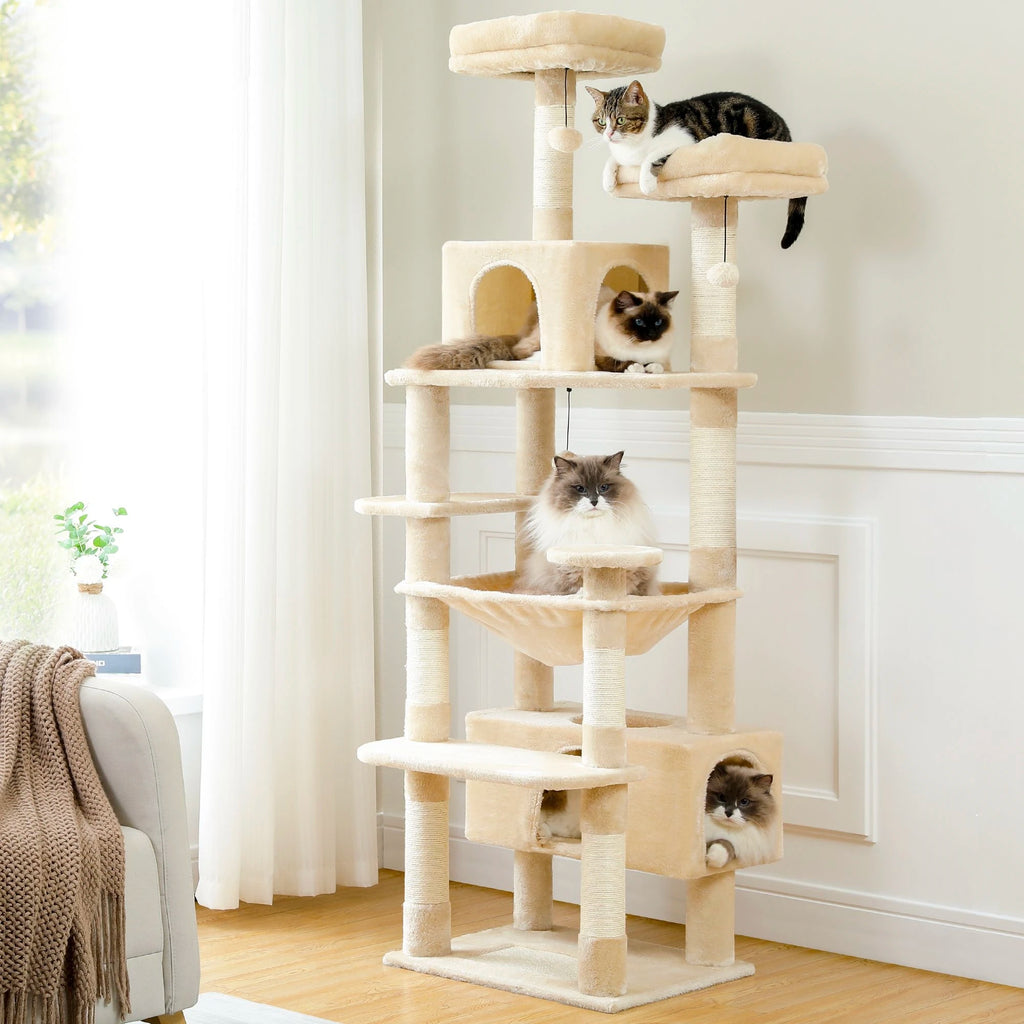 Multi-Level Cat Tree
