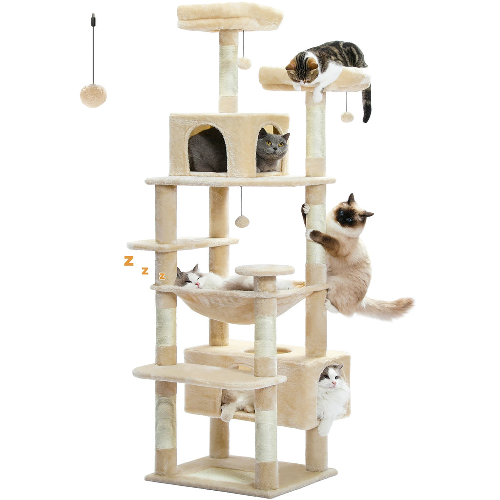 Multi-Level Cat Tree