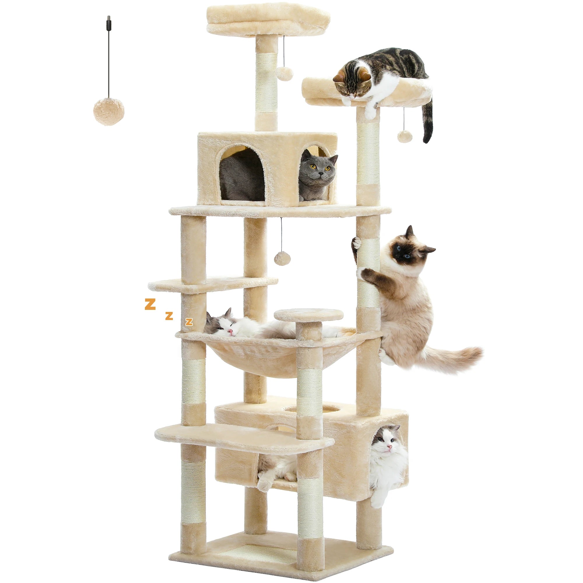 Multi-Level Cat Tree