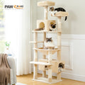 Multi-Level Cat Tree