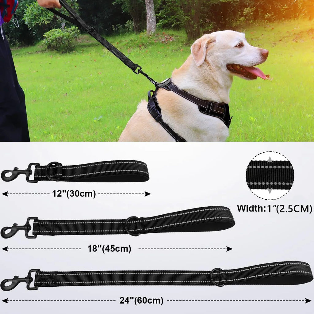 Short Heavy Duty Nylon Dog Leash